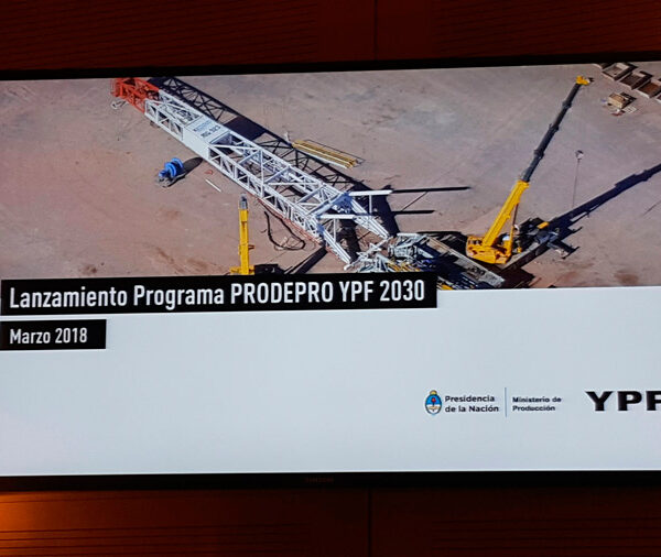 PRODEPRO YPF 2030